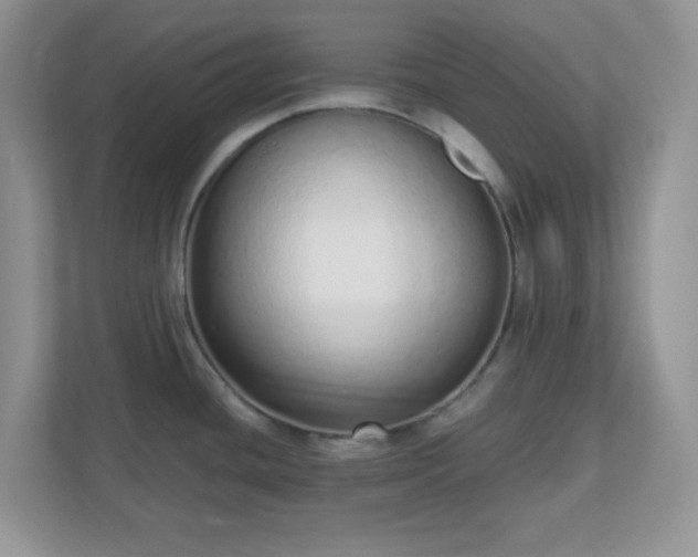 X0000110911436200906251349