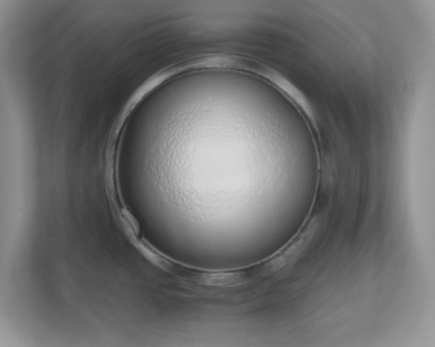 X0000110911437200906251349