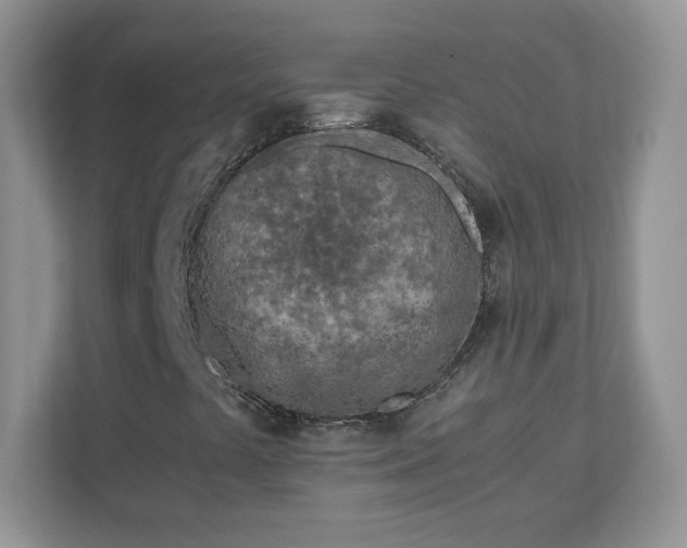 X0000110911441200906251348