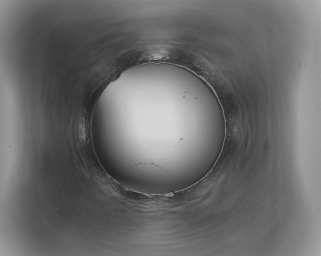 X0000110911442200906251348