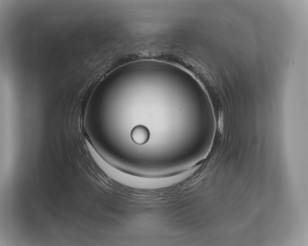 X0000110911444200906251348