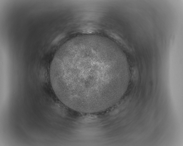 X0000110911446200906251348