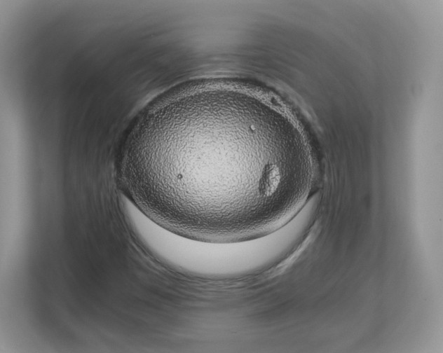 X0000110911449200906251348