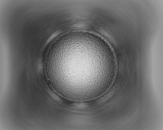 X0000110911450200906251348