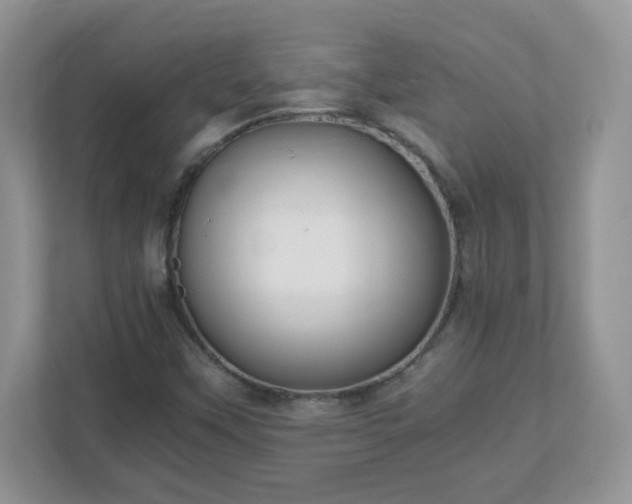 X0000110911451200906251348