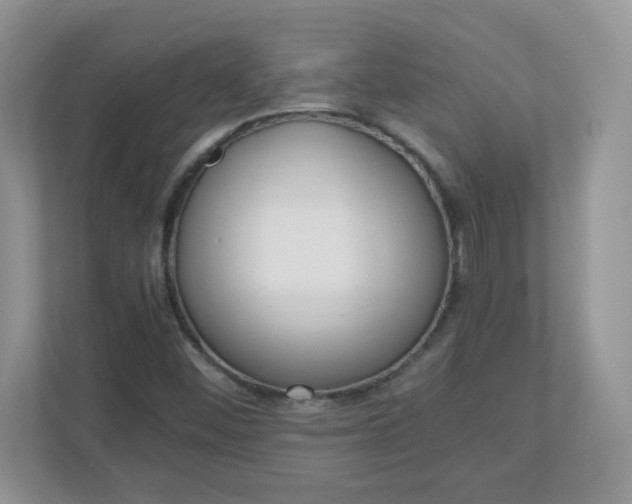 X0000110911452200906251348