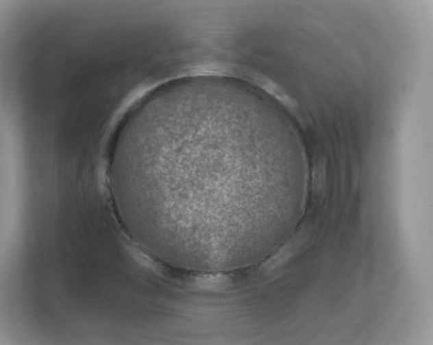 X0000110911454200906251348