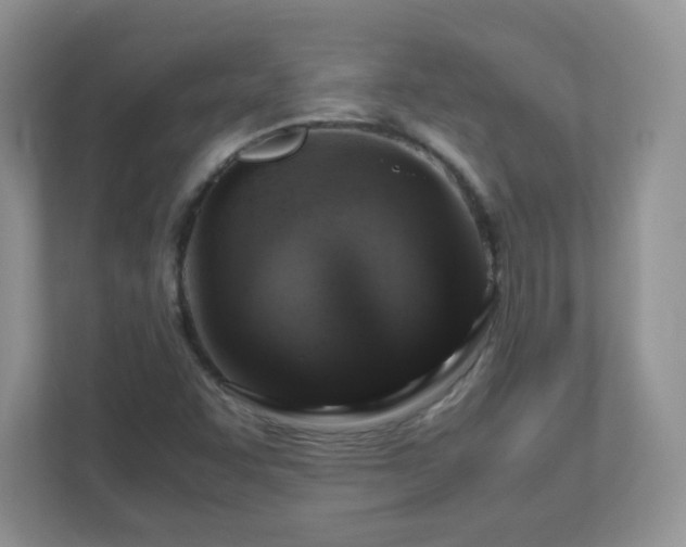 X0000110911455200906251348