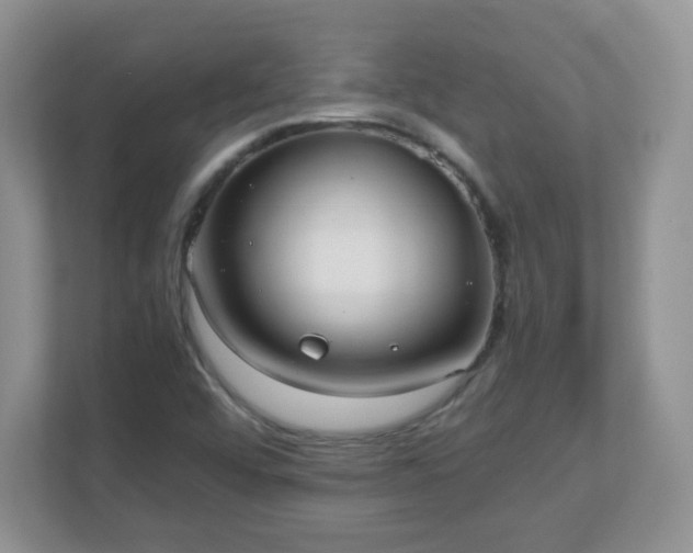 X0000110911456200906251348