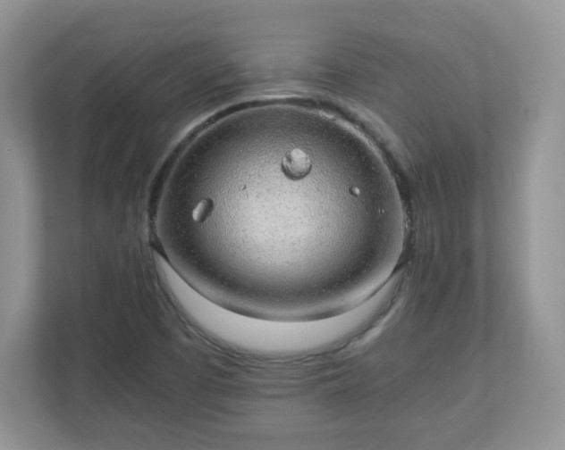 X0000110911457200906251348