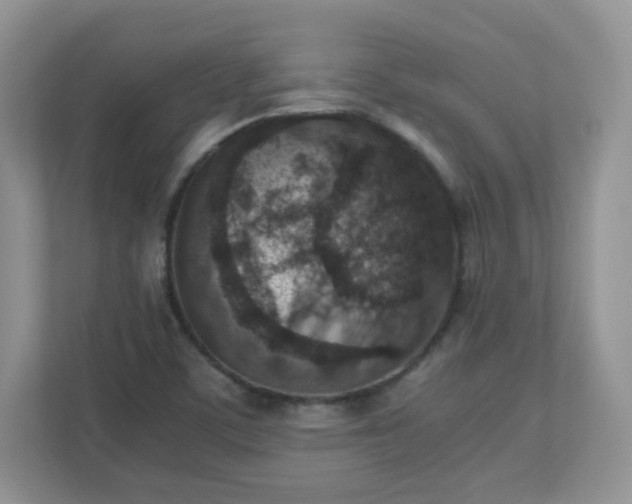 X0000110911459200906251348