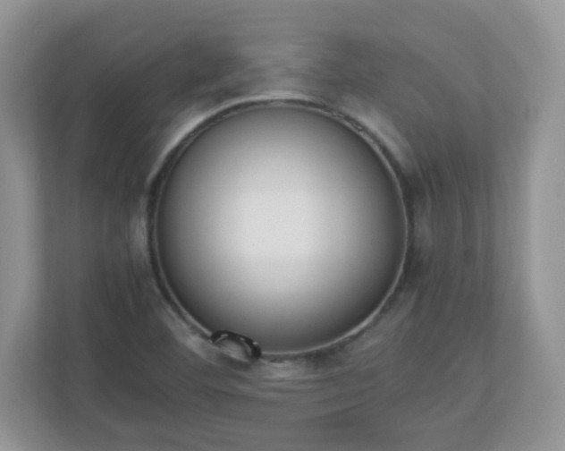 X0000110911460200906251348