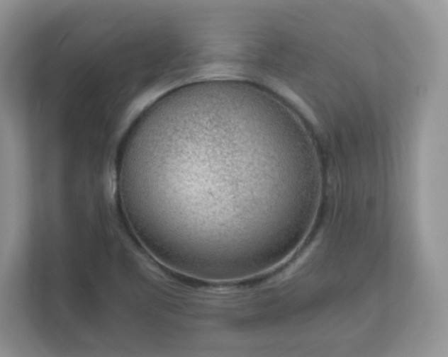 X0000110911461200906251348