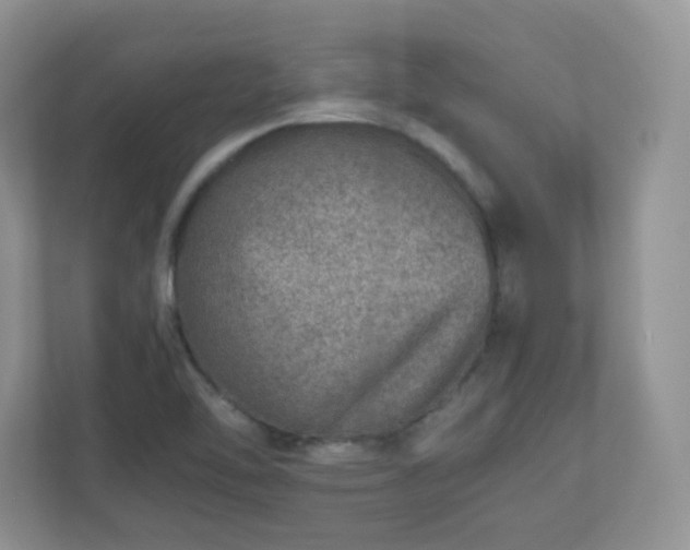 X0000110911462200906251348