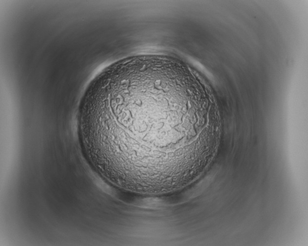 X0000110911463200906251348