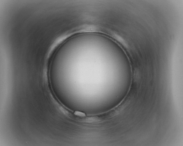 X0000110911464200906251348