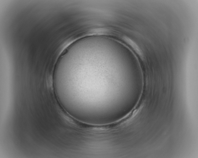 X0000110911465200906251348