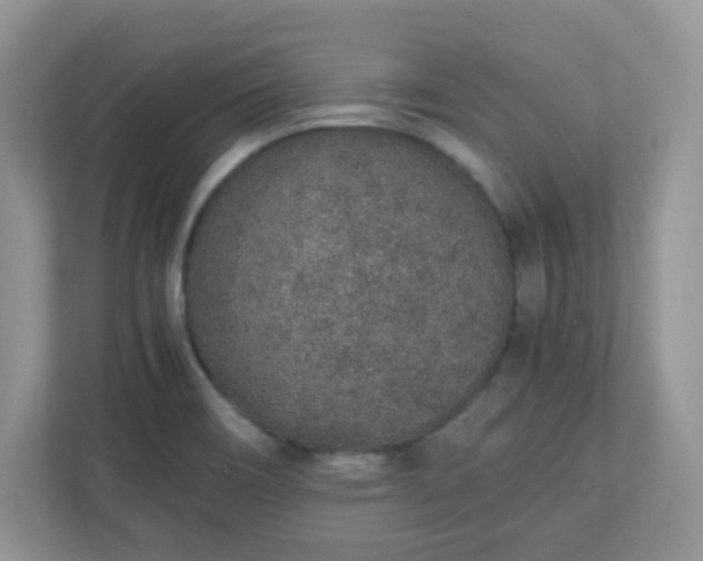 X0000110911466200906251348