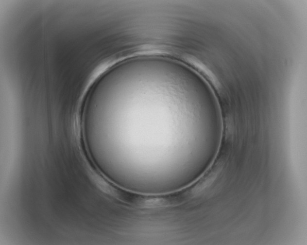 X0000110911467200906251348