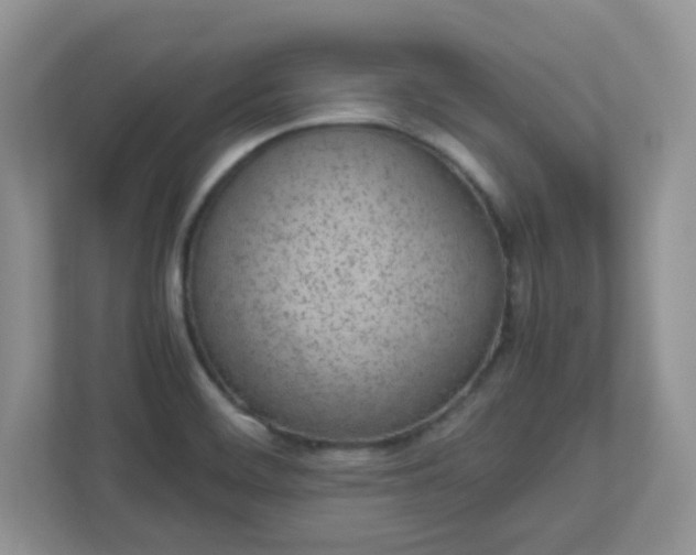 X0000110911468200906251348