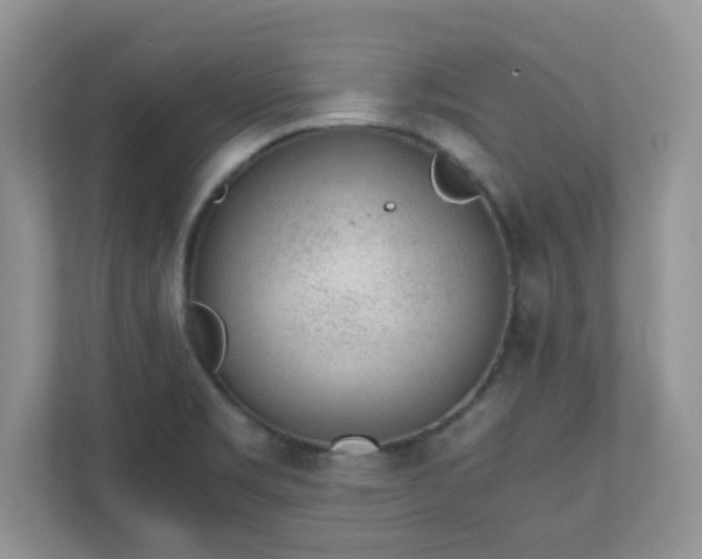 X0000110911469200906251348