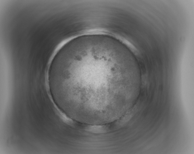 X0000110911470200906251348