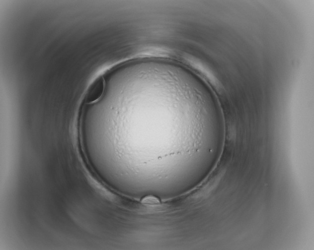 X0000110911471200906251348