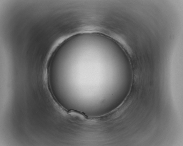 X0000110911472200906251348