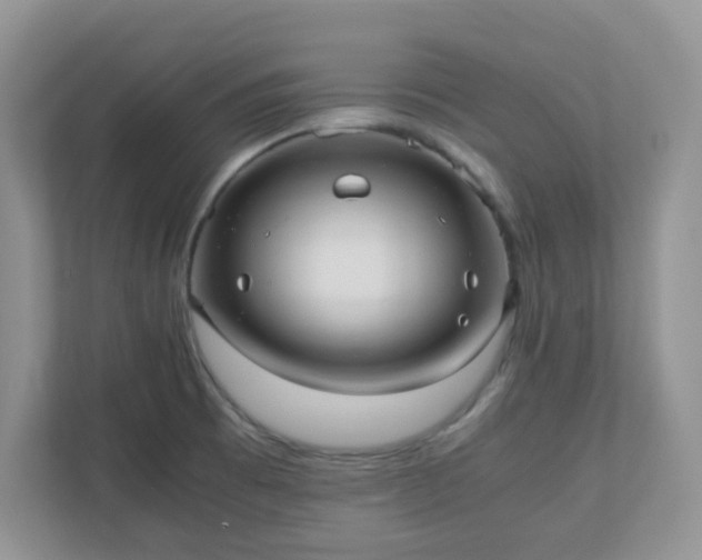 X0000110911473200906251348