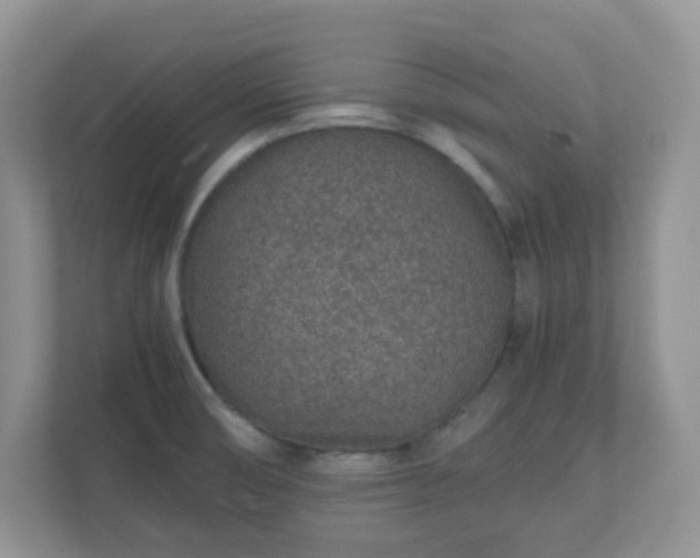 X0000110911474200906251348