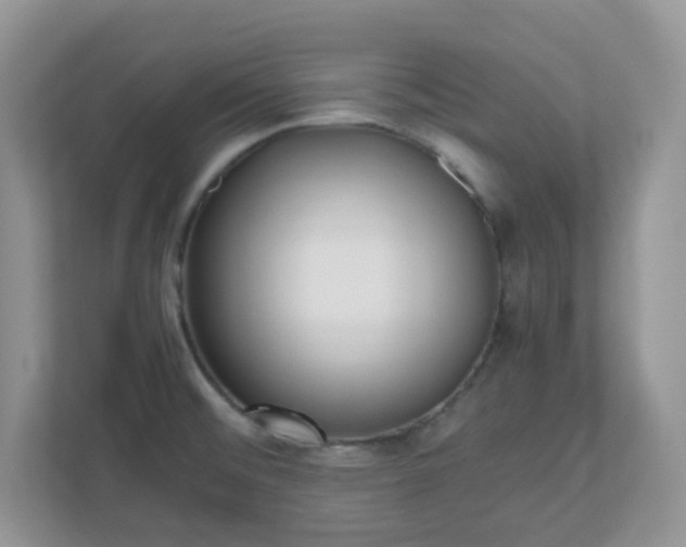 X0000110911476200906251348