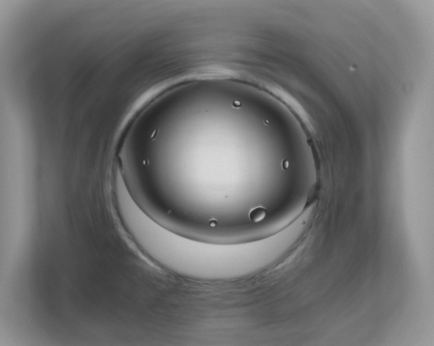 X0000110911477200906251348