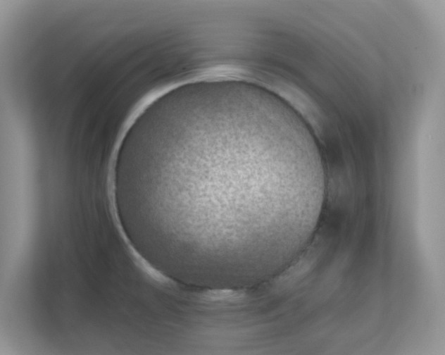 X0000110911478200906251347