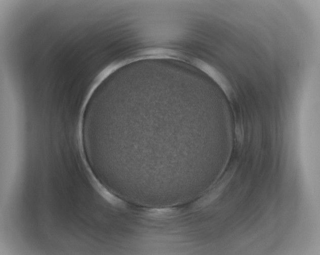 X0000110911482200906251347