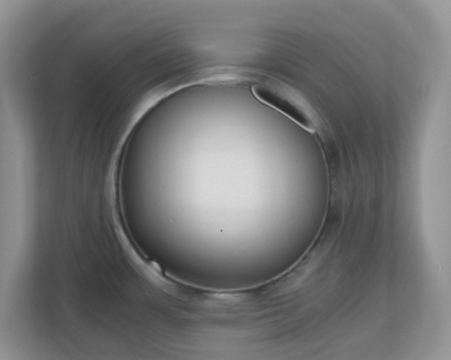 X0000110911483200906251347