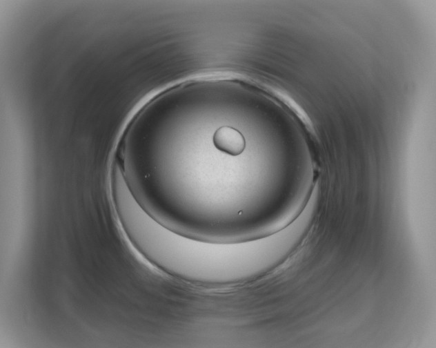 X0000110911484200906251347