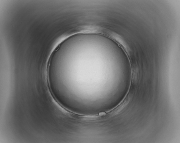 X0000110911487200906251347