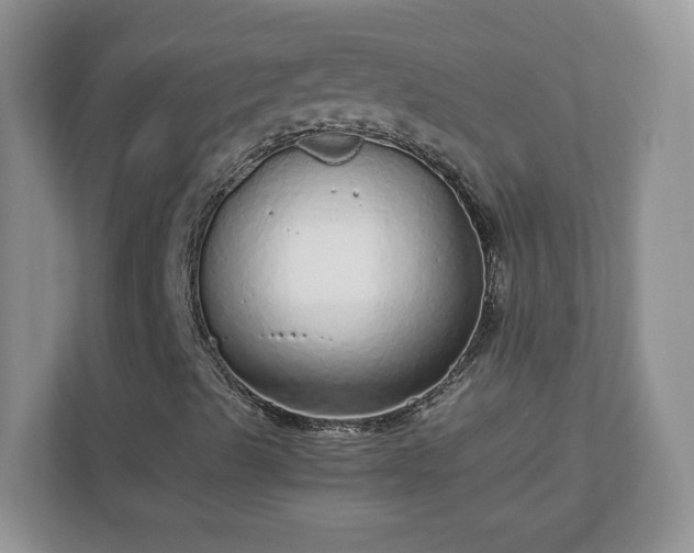 X0000110911489200906251347