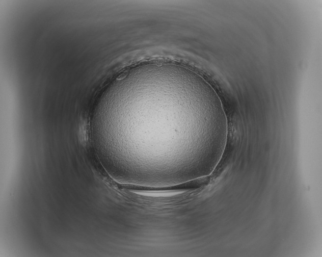 X0000110911490200906251347