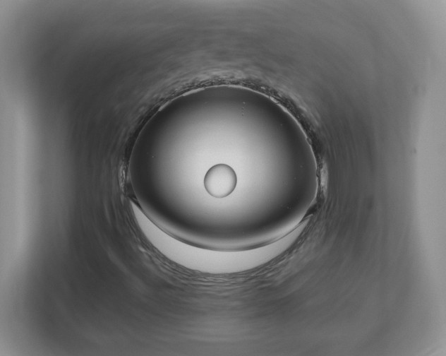 X0000110911492200906251347