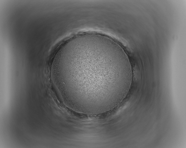 X0000110911494200906251347