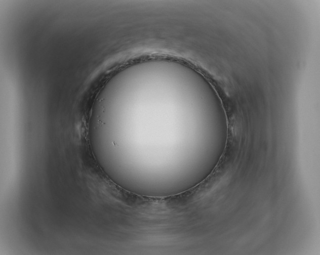 X0000110911495200906251347