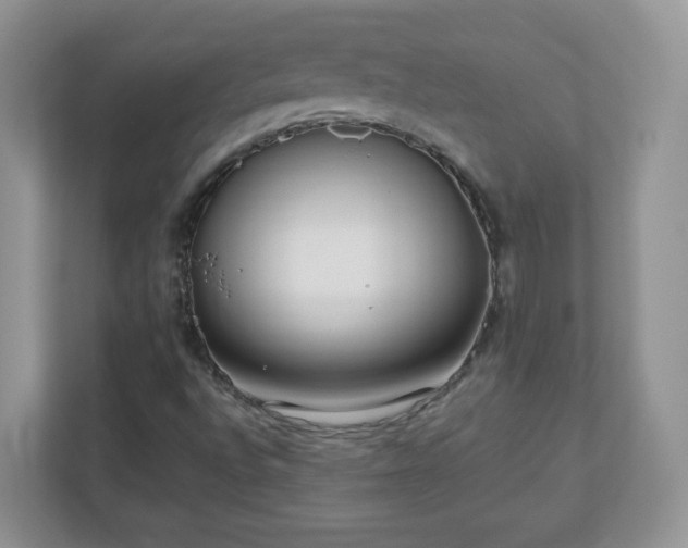 X0000110911496200906251347