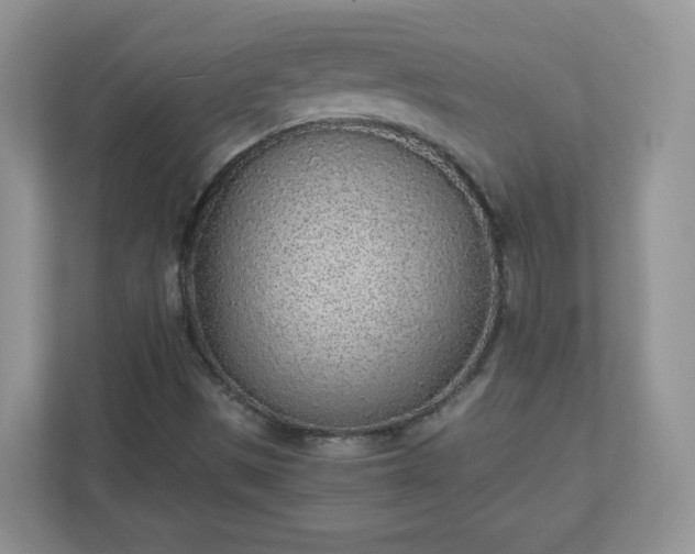 X0000110911497200906251347