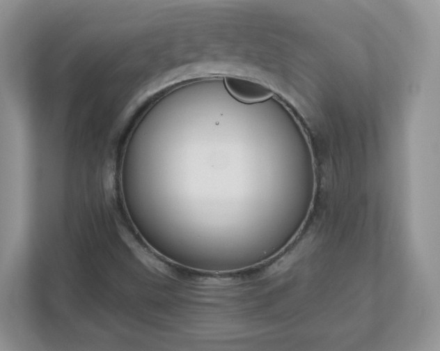 X0000110911499200906251347