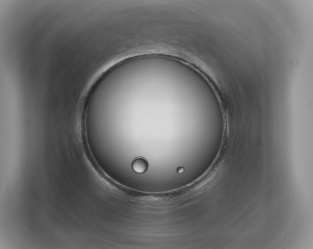 X0000110911500200906251347