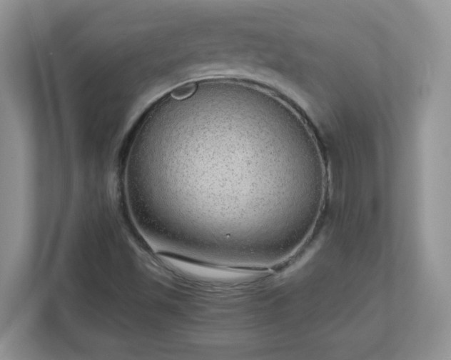 X0000110911501200906251347