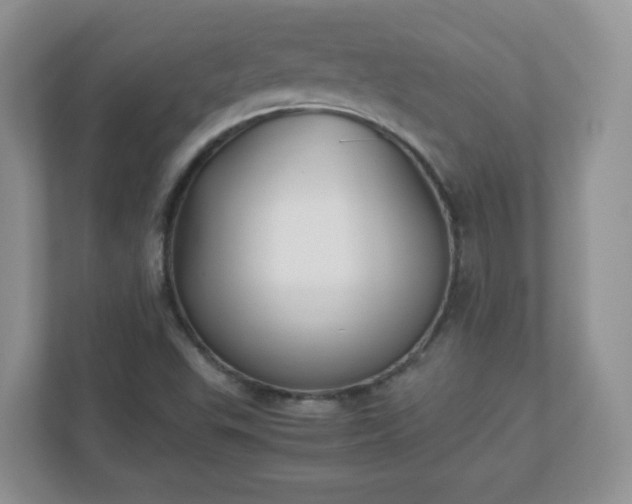 X0000110911503200906251347