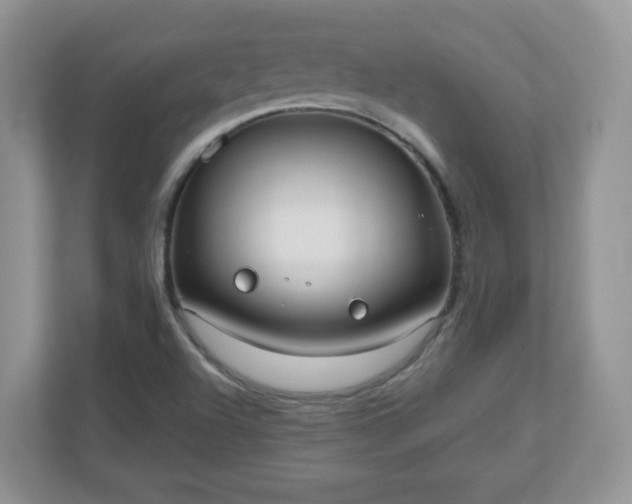 X0000110911504200906251347