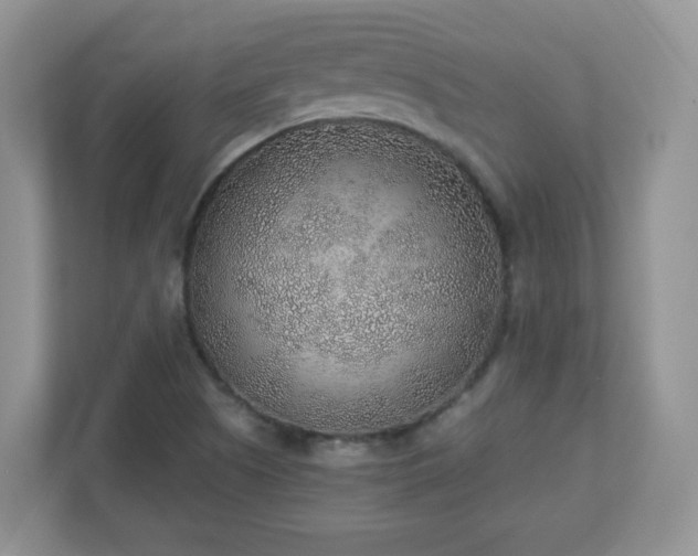 X0000110911505200906251347